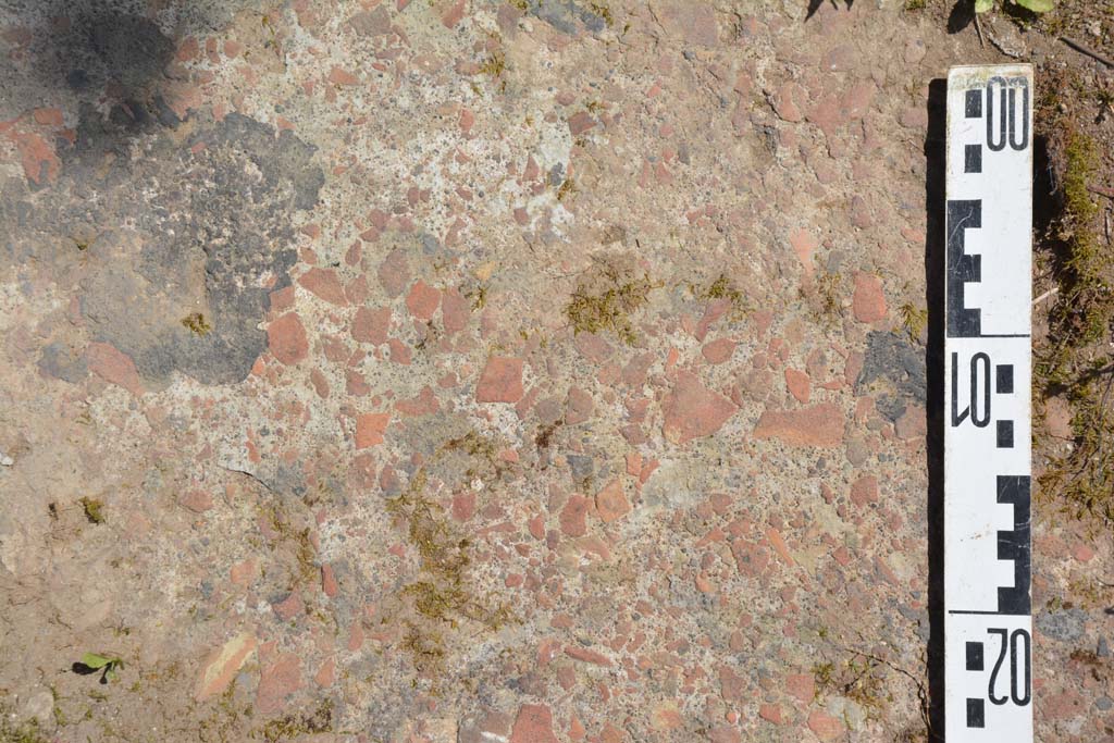 IX.5.18 Pompeii. May 2017. Room g, detail of flooring.
Foto Christian Beck, ERC Grant 681269 DÉCOR.