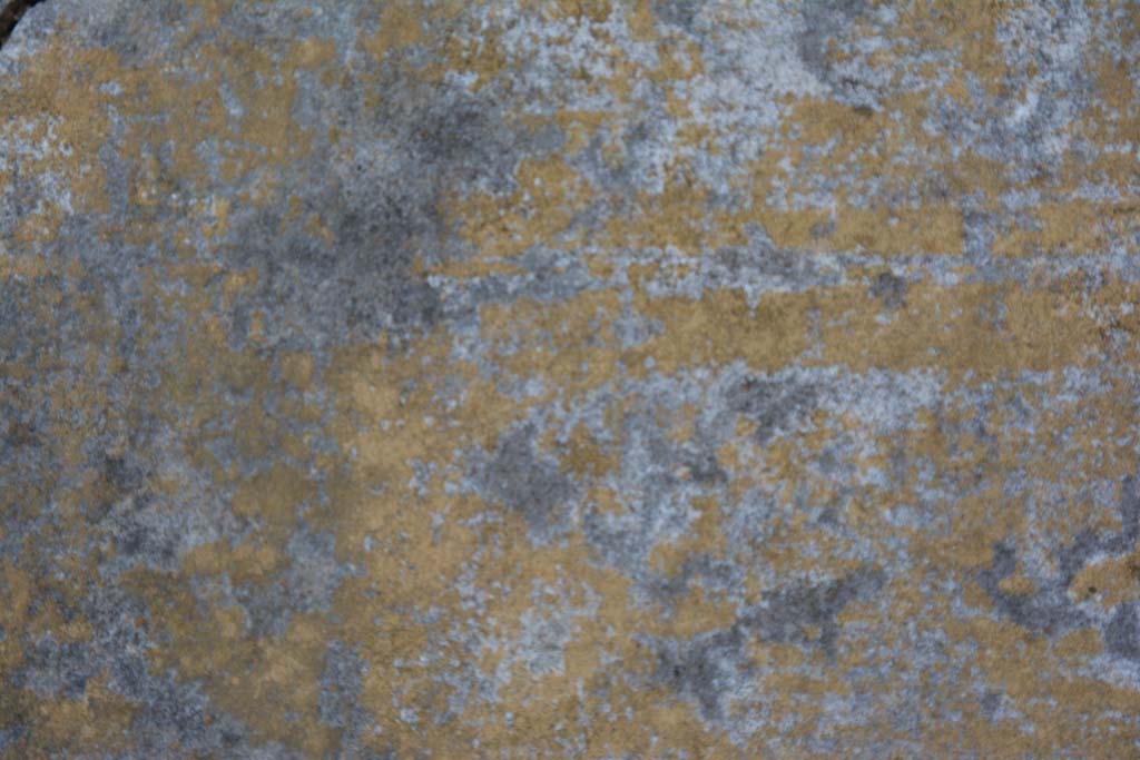 IX.5.18 Pompeii. May 2017. Room g, detail from painted decoration on west wall.
Foto Christian Beck, ERC Grant 681269 DÉCOR.