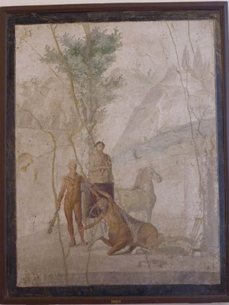 IX.5.18 Pompeii. March 2009. Room g. Cubiculum. North wall. Wall painting of Hercules, Deianira and Nessus. Now in Naples Archaeological Museum. Inventory number: 111474.