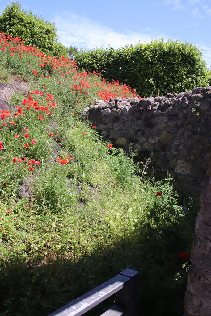 IX.7.14 Pompeii. May 2024.
Looking south-east from entrance doorway. Photo courtesy of Klause Heese.