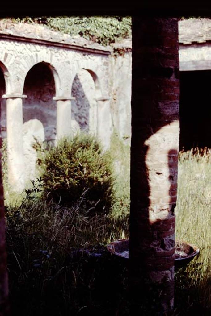 IX.7.20 Pompeii, 1978. Looking south-east across peristyle. Photo by Stanley A. Jashemski.
Source: The Wilhelmina and Stanley A. Jashemski archive in the University of Maryland Library, Special Collections (See collection page) and made available under the Creative Commons Attribution-Non Commercial License v.4. See Licence and use details. J78f0224