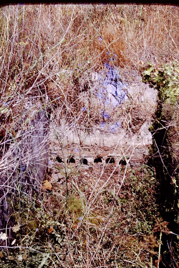 IX.7.20 Pompeii. 1977. Found nearby. Photo by Stanley A. Jashemski.
Source: The Wilhelmina and Stanley A. Jashemski archive in the University of Maryland Library, Special Collections (See collection page) and made available under the Creative Commons Attribution-Non-Commercial License v.4. See Licence and use details.
J77f0419