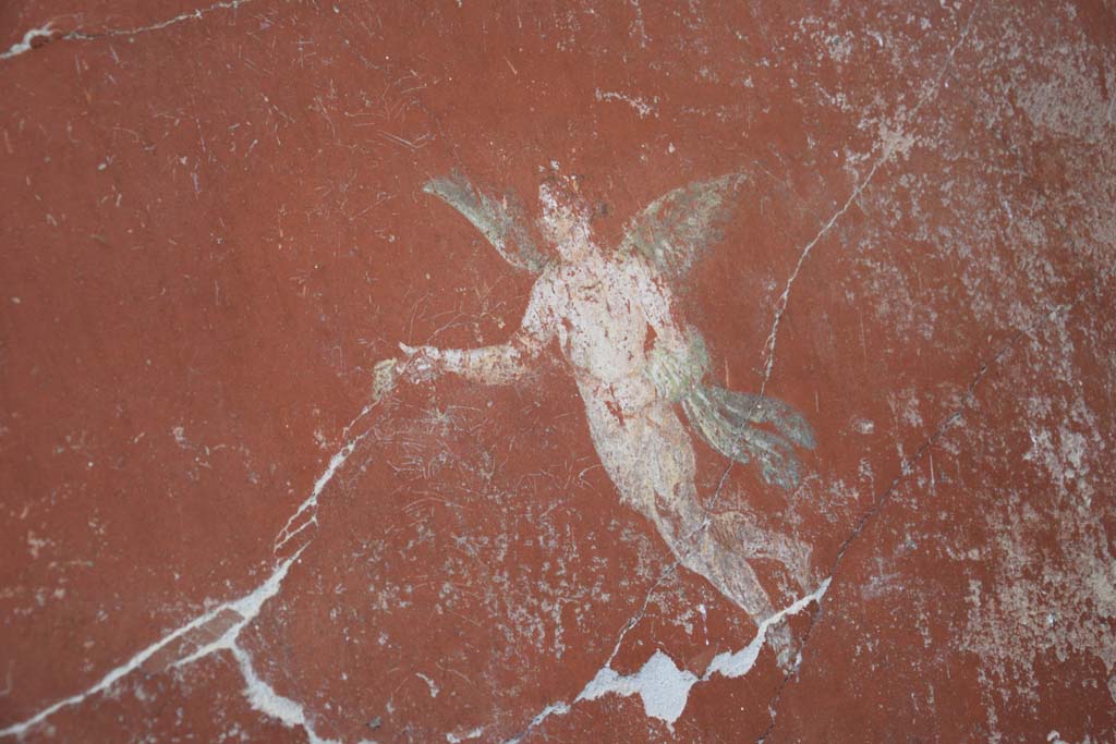 IX.12.6 Pompeii. February 2017.
Room “m”, painting of flying figure from west wall at north end in north-west corner. Photo courtesy of Johannes Eber.