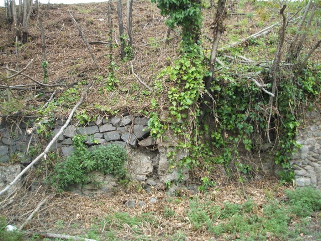 IV.4.f, (on left) and IV.4.g, (on right), Pompeii. May 2005. 
According to Liselotte Eschebach between f and g there was a Street Altar and niche, originally with a bench. She suggested this may be the street altar described by Frhlich in F24. Frhlich in turn refers to a drawing in Gell and Gandy.
See Eschebach, L., 1993. Gebudeverzeichnis und Stadtplan der antiken Stadt Pompeji. Kln: Bhlau. (p.120)
See Frhlich, T., 1991. Lararien und Fassadenbilder in den Vesuvstdten. Mainz: von Zabern. (p315, F24)

