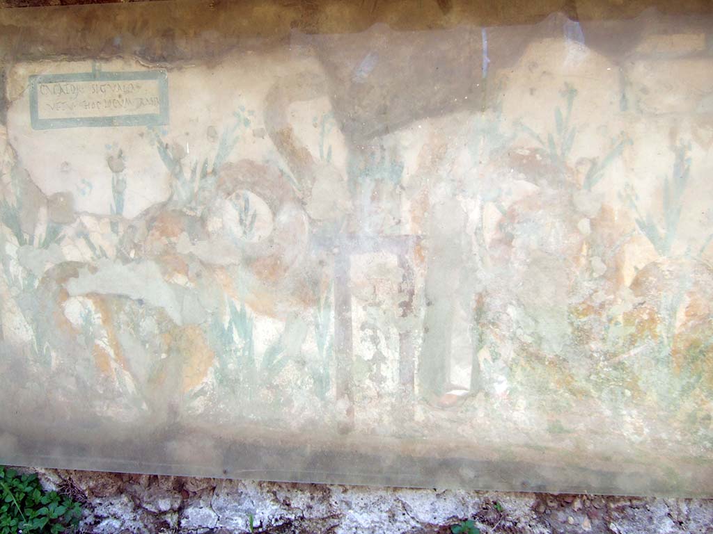 Painted street shrine on the wall at V.6.19. May 2006.