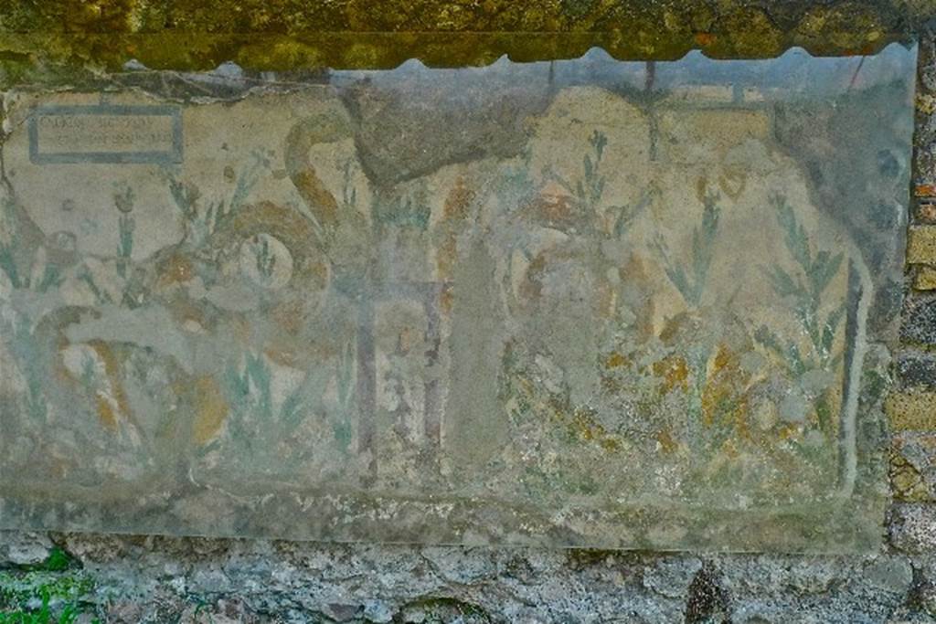 Painted street shrine on the wall at V.6.19. July 2010. Photo courtesy of Michael Binns.
This shows two serpents moving through plants to an altar that had offerings on it.