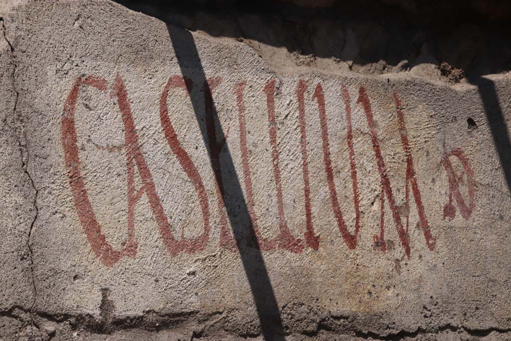 V.8, Pompeii. September 2021. CASELLIVM AED graffiti.
Looking north towards painted graffiti on west end of south wall near the street shrine, on north side of Vicolo delle Nozze d’Argento.
Photo courtesy of Klaus Heese.