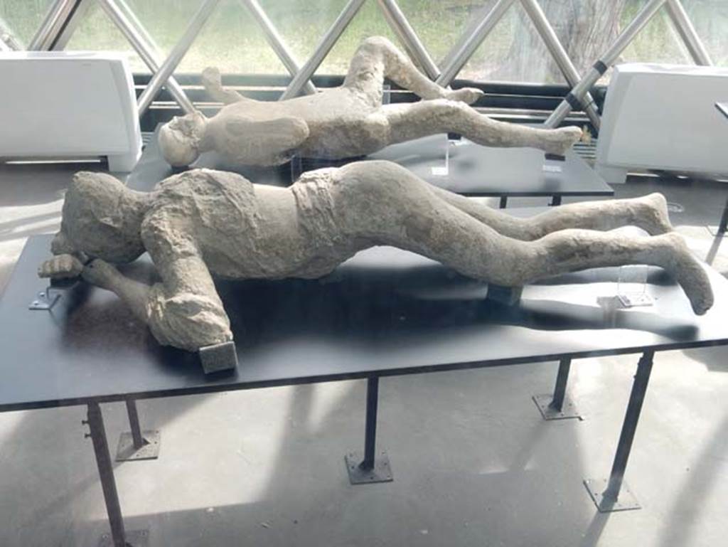 Pompeii. May 2018. Victim number 10 in front. Plaster-casts from exhibition kiosk near Amphitheatre entrance. 
Courtesy of Buzz Ferebee.
Cast of woman (Victim number 10) found on Via Stabiana. In front
According to Fiorelli’s description, the young woman was face down, with her head resting on her arms.
She was denuded in part of her clothing, except for some traces on her shoulders.
Her tresses were still visible with hair knotted behind her head.
She was found above the level of the Via Stabia at the north-eastern corner of VI.14, in 1875.
At the rear is the plaster-cast of a man found in the garden area of I.6.2. 
