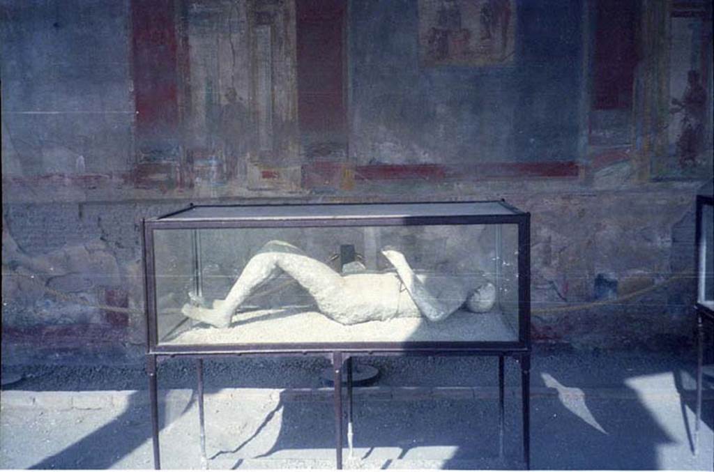 VII.9.7 and VII.9.8 Pompeii. July 2011. Plaster cast in north-west corner of Macellum. Photo courtesy of Rick Bauer.
Known as Victim no.11, as this was the 12th to be successfully cast, and it was exhibited in the Antiquarium for some years. 
He was found on 28th December 1882, at a height of approximately four metres from the original soil level.
According to Dwyer, he had been fleeing along the top of the cinders at the time of his death.
He was found above the south-west corner of a garden, now numbered as VIII.6.6.
Near him were found two iron keys.
See Dwyer, E., 2010. Pompeii’s Living Statues. Univ. of Michigan Press: (p.103)  
Garcia y Garcia gives the plaster cast number as 16.
See Garcia y Garcia, L., See Garcia y Garcia, L., 2006. Danni di guerra a Pompei. Rome: L’Erma di Bretschneider. (p.194)

