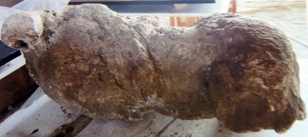 Victim 29. Pompeii Palaestra. The cast lacks: arms and legs; and only the part between the thorax and the attachment of the thighs has been preserved.
The victim is a male, aged 13 to 19 years old.
There seems to be a drapery between the shoulder and the left hip clearly visible in the middle between the armpit and buttocks.
Two hypotheses are suggested.
Hypothesis 1: The body is that shown at the bottom of the photograph of 14 skeletons (NdS 1939 fig. 28 shown above). This would mean it was the body found in the area in front of the south-eastern entrance in December 1936.
Hypothesis 2: The body is that found in the south portico inside the Palestra Grande near the latrine wall on the 25-26 October 1937.
See Osanna, N., Capurso, A., e Masseroli, S. M., 2021. I Calchi di Pompei da Giuseppe Fiorelli ad oggi: Studi e Ricerche del PAP 46, p. 387 Calco n. 29.
