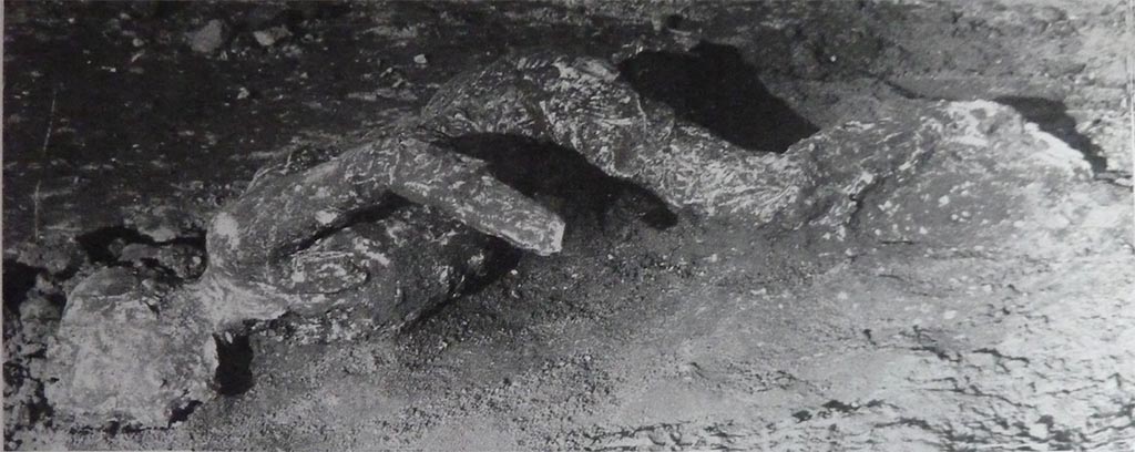 Victim 29. Hypothesis 2: The body is that found in the south portico inside the Palestra Grande near the latrine wall on the 25-26 October 1937.
See Osanna, N., Capurso, A., e Masseroli, S. M., 2021. I Calchi di Pompei da Giuseppe Fiorelli ad oggi: Studi e Ricerche del PAP 46, p. 387 Calco n. 29.
Two bodies were found towards the eastern end of the southern ambulatory and a cast could be made because they were both lying in the high layer of ash.
Maiuri described first as “The one was a beautiful young man's body with agile legs knocked down on the portico floor at the first fall of the ashes.” 
And also, according to Maiuri “the handsome body of a young man, one of those strong, agile young men from Campania, with athletic legs just made for running and for the last gasp of the race”. The victim had been identified as an athlete, also because of the discovery near his body of bronze strigils, usually used by gymnasts.”
The second was victim number 28, the crouching man.
See Notizie degli Scavi, Anno 1939, Fascicoli 7, 8, 9, p. 216.

