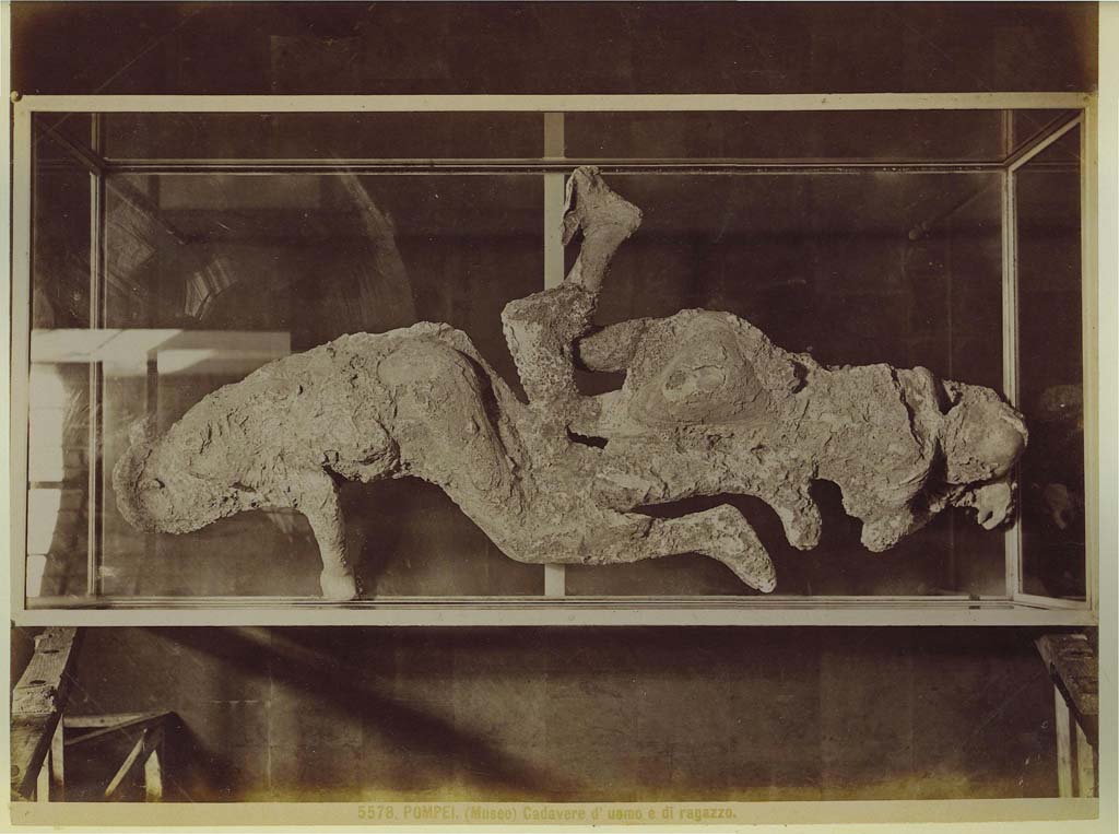 Victims numbered 2 and 3, photograph taken by Brogi (no. 5578) in a display case in the museum. Photo courtesy of Eugene Dwyer.
According to Dwyer –
“Errors crept into the Museum, as the contents were frequently moved to make room for new castings.
On one Brogi photograph (no. 5578), the casts of the two women, numbers 2 and 3, are described as “Body of man and boy”.
See Dwyer, E., 2010. Pompeii’s Living Statues. Ann Arbor: Univ of Michigan Press, (p.108).