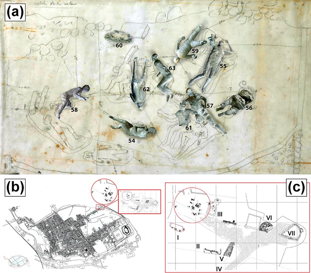Victim 54. Location of casts from Porta Nola. 
(a) Original position of some of the studied Porta Nola casts (#57, #62, #58, #54, #55). (b) Map of Pompeii. (c) Detail of casts discovery area (I: Burials of Praetorians; II: Modern Masonries; III: Tomb of Obellius Firmus; IV: Porta Nola; V: Leakpan; VI: Tomb of Esquilia Polla; VII: Anonymous Tomb). 
Photo courtesy of The Casts of Pompeii Project. Use subject to CC BY 4.0 Deed 
See Alapont L, Gallello G, Martinón-Torres M, Osanna M, Amoretti V, Chenery S, et al. (2023) The casts of Pompeii: Post-depositional methodological insights. PLoS ONE 18(8): e0289378, fig. 1. https://doi.org/10.1371/journal.pone.0289378 
