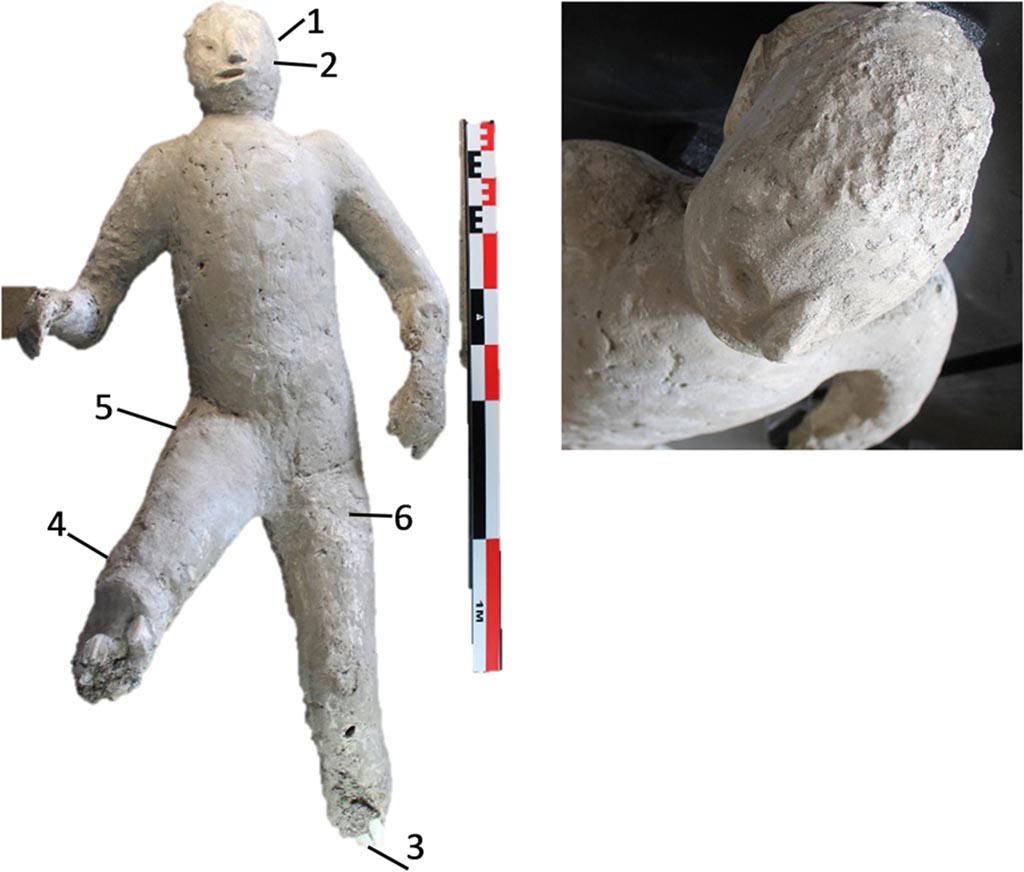 Victim 59. Cast, numbered as #64 in the casts of Pompeii Project, and with pXRF measuring points (1–6).
Photo courtesy of The Casts of Pompeii Project. Use subject to CC BY 4.0 Deed 
See Alapont L, Gallello G, Martinón-Torres M, Osanna M, Amoretti V, Chenery S, et al. (2023) The casts of Pompeii: Post-depositional methodological insights. PLoS ONE 18(8): e0289378, fig. 5. https://doi.org/10.1371/journal.pone.0289378 
In the “I calchi di Pompei” catalogue this is victim 59.
See Osanna, N., Capurso, A., e Masseroli, S. M., 2021. I Calchi di Pompei da Giuseppe Fiorelli ad oggi: Studi e Ricerche del PAP 46, p. 459-460, Calco n. 59.
