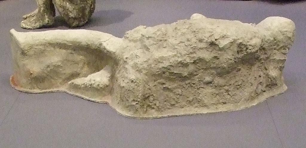 Victim 69. Rear view. Man holding his hand over his mouth. View from rear.
Photographed at “A Day in Pompeii” exhibition at Melbourne Museum. September 2009.