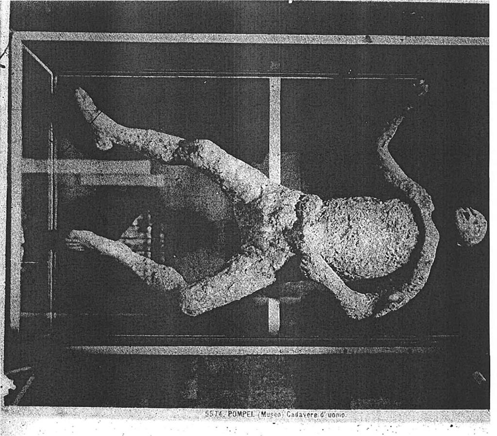 Victim numbered 6, photographed by Brogi (no. 5574) in a display case in the museum. Photo courtesy of Eugene Dwyer.