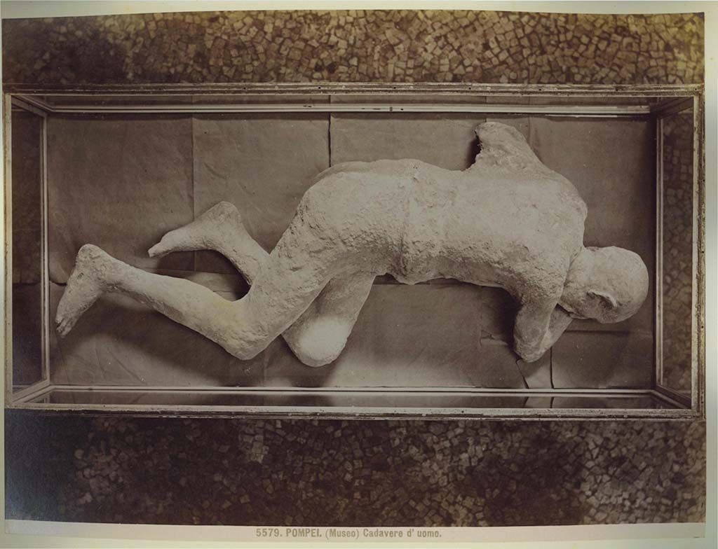 Victim numbered 7, photographed by Brogi, (no. 5579), in a display case in the museum. Photo courtesy of Eugene Dwyer.