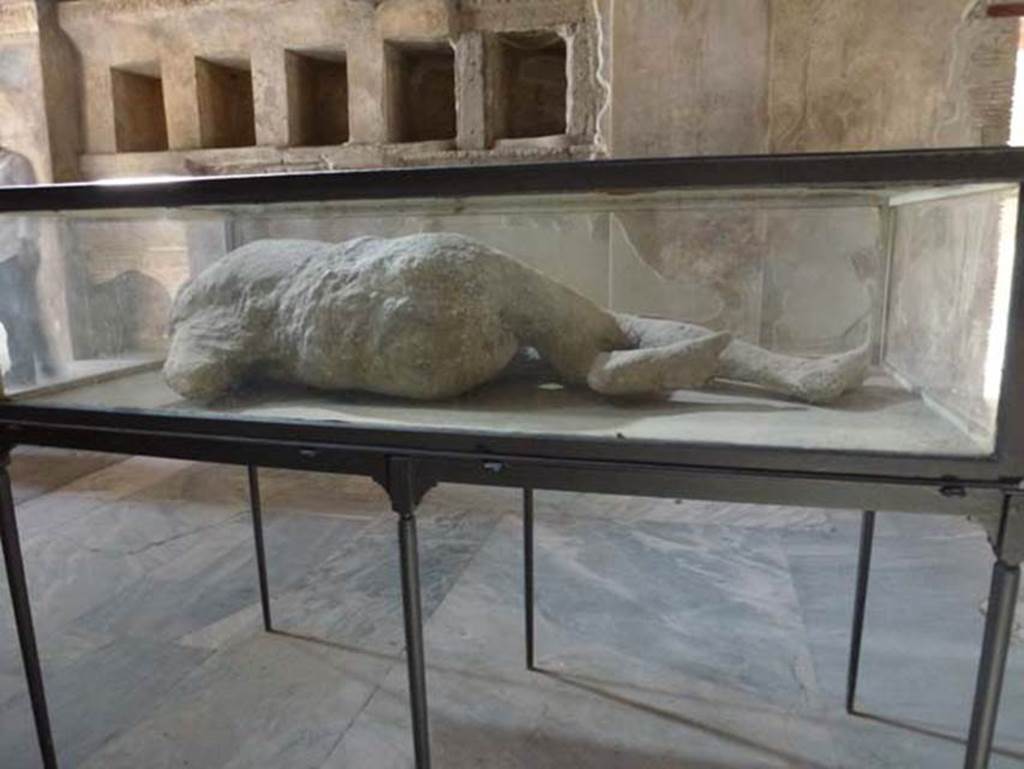 VII.1.8 Pompeii. June 2012. Victim number 7. Rear of plaster cast of body, on display in men’s changing room 2.
Found 25th September 1873 in garden area of I.5.3. Photo courtesy of Michael Binns.