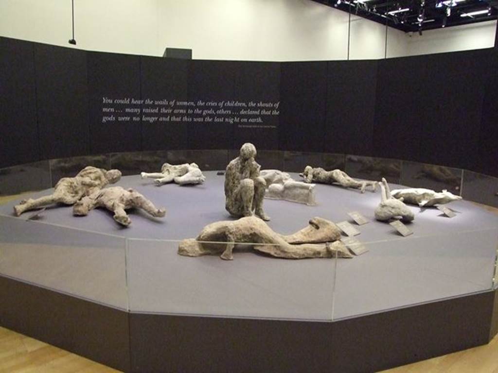 Victim 81. Porta Capua 2002. The Shackled Man in a group of casts of other victims.
Photographed at “A Day in Pompeii” exhibition at Melbourne Museum. September 2009.