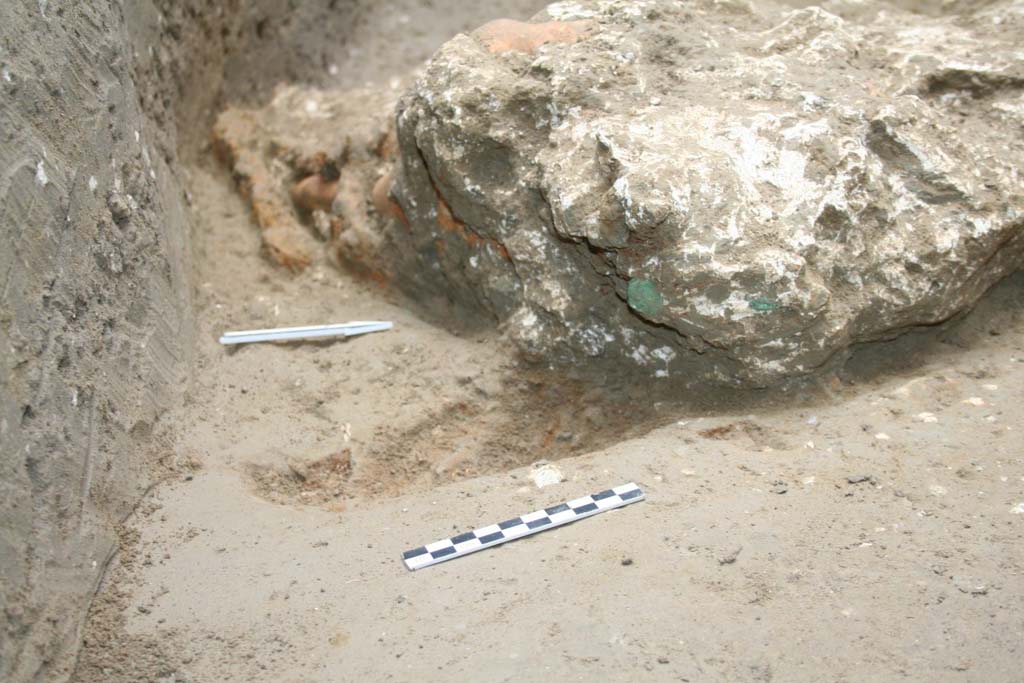 January 2018. Impression of the left ear of the horse of loc. Cività Giuliana with detail of the iron and bronze harness.
The autopsy examination of the left ear imprint, perfectly visible in the ash, highlighted dimensional and morphological characteristics attributable to the horse rather than to a mule or donkey.
In addition, the horse exhibits an iron harness with small bronze studs in the skull area. This presence could attest to the value and role of this animal.

Gennaio 2018. Impronta dell'orecchio sinistro del cavallo di loc. Civita Giuliana con dettaglio dei finimenti in ferro e bronzo.
L'esame autoptico dell'impronta dell'orecchio sinistro, perfettamente visibile nel tuono, ha evidenziato caratteristiche dimensionali e morfologiche riconducibili al cavallo piuttosto che a mulo o bardotto.
Il cavallo mostra, inoltre, nella zona del cranio finimenti in ferro con piccole borchie in bronzo. Tale presenza potrebbe essere ricondotta al valore e ruolo di questo animale.

Photograph © Parco Archeologico di Pompei.
