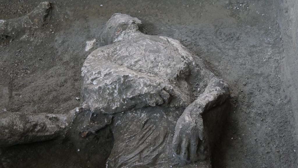Victim 92. November 2020. First victim.
Studies revealed that the first victim, with his head tilted, and his teeth and skull visible, was a young man, between 18 and 23/25 years of age, who was approximately 156cm tall. The presence of a series of vertebral compressions, unusual in a young man of his age, would suggest that he had carried out hard manual work. He could therefore have been a slave. He wore a short tunic, of which the imprint of the drapery is clearly visible on the lower part of the belly, with thick rich folds and traces of heavy fabric, of a consistency which suggests that it was made of wool fibres. Several fragments of white plaster were found next to the face, and fragments of the wall preparation layer of the room were found alongside the legs.

Vittima 92. Novembre 2020. La prima vittima
La prima vittima, con il capo reclinato, denti e ossa del cranio visibili, dai primi studi risulta essere un giovane, fra i 18 e i 23/25 anni, alto circa 156 cm. La presenza di una serie di schiacciamenti vertebrali, inusuali per la giovane età dell’individuo, fa ipotizzare anche lo svolgimento di lavori pesanti. Poteva dunque trattarsi di uno schiavo.  Indossava una tunica corta, di cui è ben visibile l’impronta del panneggio sulla parte bassa del ventre, con ricche e spesse pieghe, la cui consistenza assieme alle tracce di tessuto pesante, fanno ipotizzare che si trattasse di fibre di lana. Accanto al volto sono presenti alcuni frammenti di intonaco bianco e lungo le gambe frammenti della preparazione parietale del vano.

Photograph © Parco Archeologico di Pompei.

