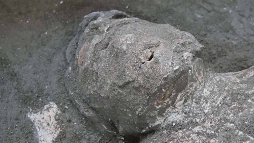 November 2020. First victim.
Several fragments of white plaster were found next to the face, and fragments of the wall preparation layer of the room were found alongside the legs.

Novembre 2020. La prima vittima
Accanto al volto sono presenti alcuni frammenti di intonaco bianco e lungo le gambe frammenti della preparazione parietale del vano.

Photograph © Parco Archeologico di Pompei.
