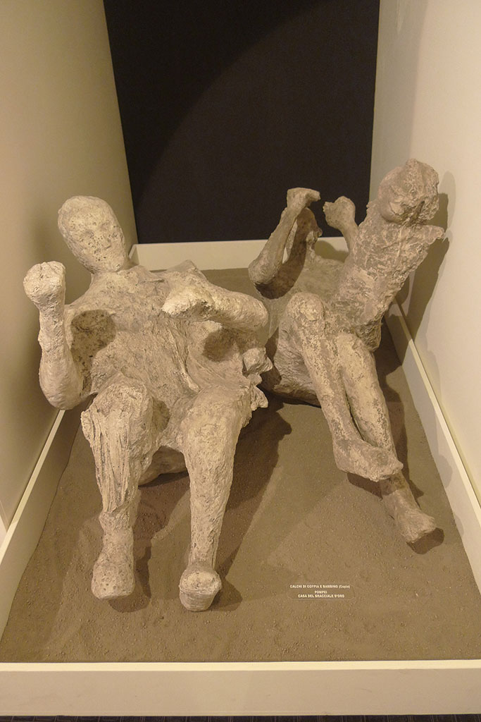 VI.17.42 Pompeii. Boscoreale Antiquarium 2011. 
Group consisting of a man (victim 50) and a man (52), who was holding a child (51).
Part of a group of four who died under the staircase. Photo courtesy of Michael Binns.

