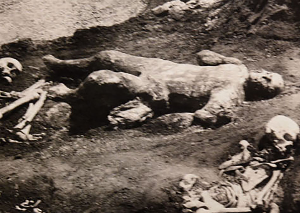 I.6.2 Pompeii. 1914. Plaster cast of fourth victim, number 20, one of the victims found to the north of the other group of two females.
In his group were two other fugitives, but the skeletons were not made into plaster casts.
According to Osanna, Capurso, e Masseroli, the victim is a male over 20 years of age.
See Osanna, N., Capurso, A., e Masseroli, S. M., 2021. I Calchi di Pompei da Giuseppe Fiorelli ad oggi: Studi e Ricerche del PAP 46, p. 362-4.