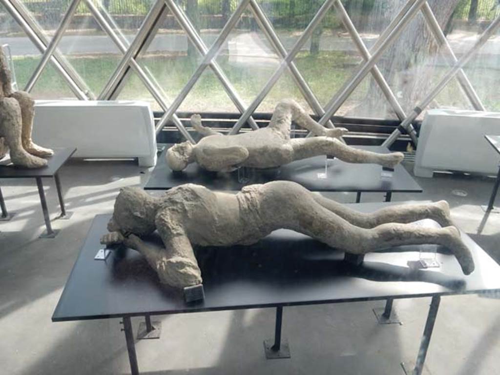 Plaster-casts in display/exhibition kiosk near amphitheatre entrance. May 2018.
At the rear of the young woman plaster-cast numbered 10, is the cast of the fourth victim, number 20, from the garden of I.6.2.
Photo courtesy of Buzz Ferebee.