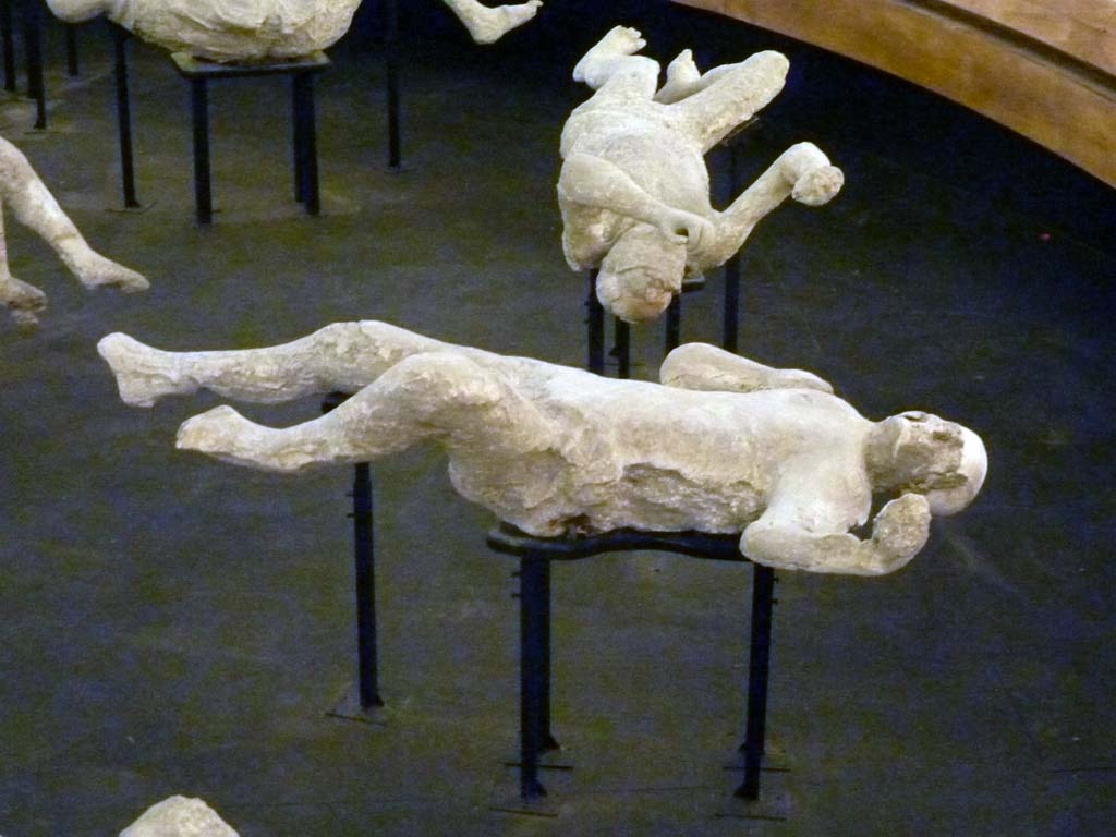 I.6.2 Pompeii. September 2015. Exhibit from the Summer 2015 exhibition in the amphitheatre.
Plaster-cast of victim number 20 found to the north of the other group of two females in the garden area.