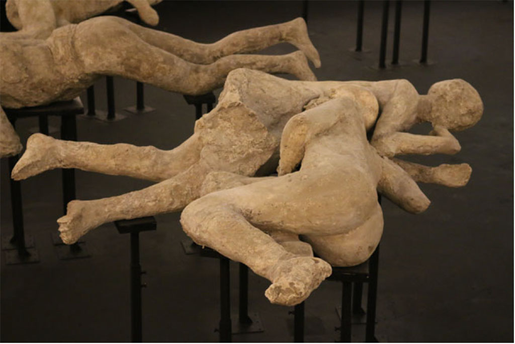 I.6.2 Pompeii. Victims 21 (rear) and 22 (front). 2015. Photo courtesy of Estelle Lazer.
According to Estelle Lazer, Cast Numbers 21 and 22 were embracing but, as they were cast separately, they could enter the gantry of the CT scanner individually.
These two victims have variously been interpreted as two lovers or two women, sometimes as sisters or as a mother and daughter.
The preliminary results of DNA analysis of skeletal samples from these casts indicate that they were two unrelated males.
Victim 21 has an age estimation of fourteen to sixteen years if the victim is a female, and fourteen to nineteen years if the victim is male.
Victim 22 must have been at least seventeen to eighteen years of age and the dentition suggested that this might be a younger adult as the surviving third molars had not erupted.
See Lazer E., et al. 2020. Inside the Casts of the Pompeian Victims: Results from the First Season of the Pompeii Cast Project In 2015. Papers of the British School at Rome.