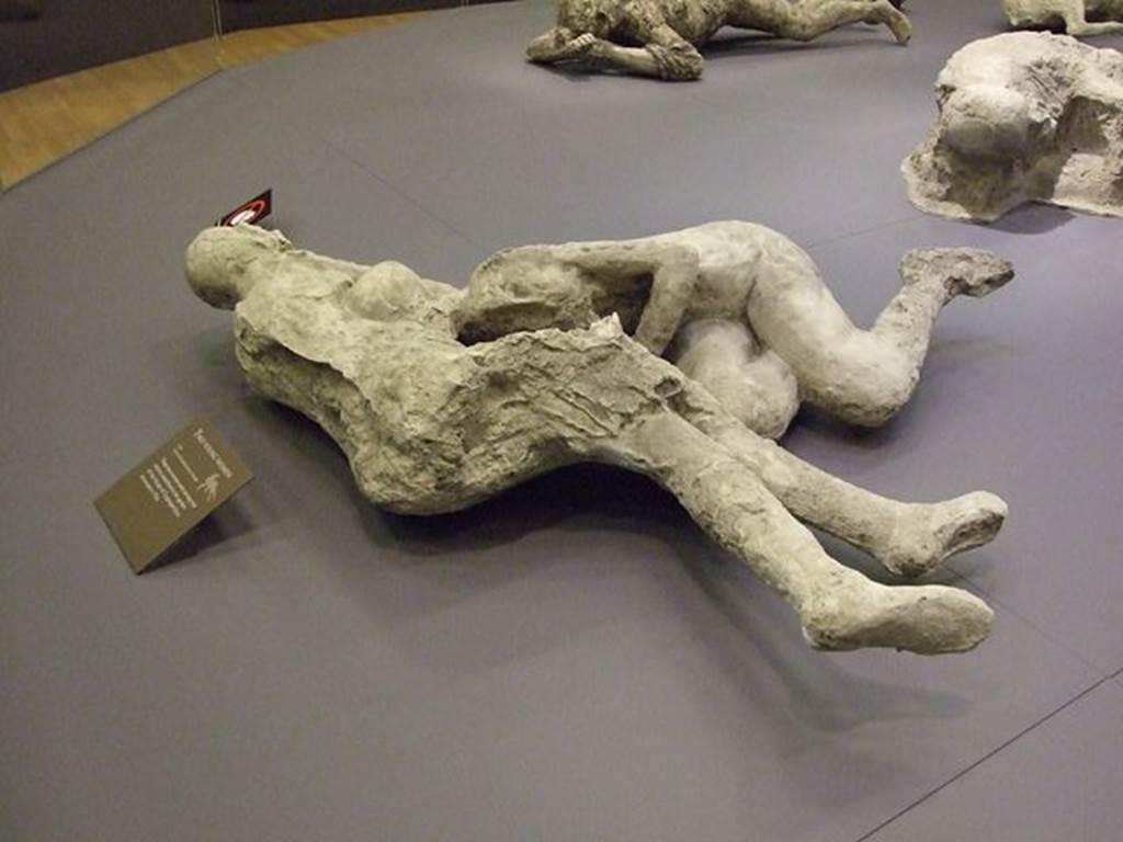 I.6.2 Pompeii. Victims 21 and 22. September 2009. Plaster-cast of two victims from the garden area.
Photographed at “A Day in Pompeii” exhibition at Melbourne Museum.