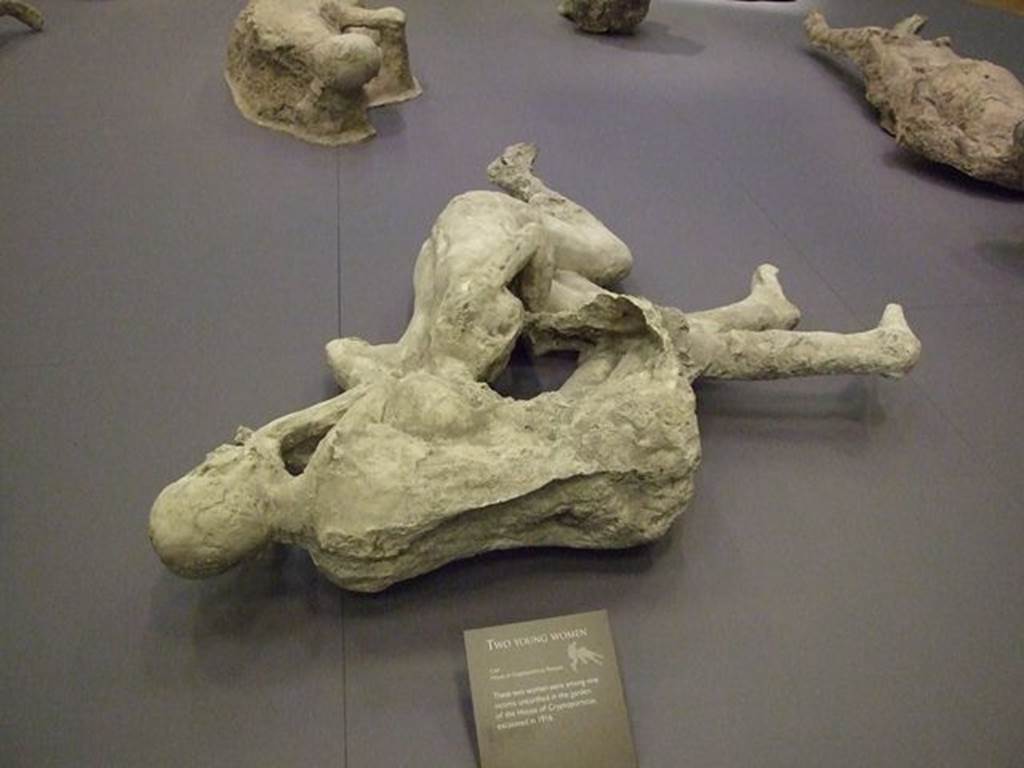 I.6.2 Pompeii. Victims 21 and 22. September 2009. Rear view of plaster cast of two victims from the garden area. Originally thought to be two females, recent DNA testing has established that they are two unrelated young males.
Photographed at “A Day in Pompeii” exhibition at Melbourne Museum.