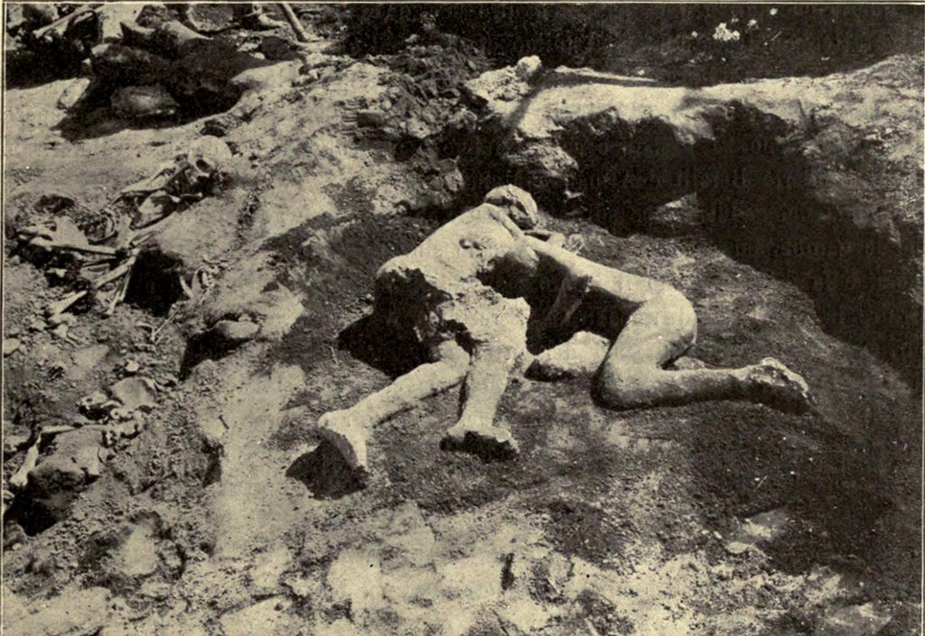 I.6.2 Pompeii. Victims 21 and 22. Plaster cast of two victims, found in the garden, between 2nd and 21st July 1914.
The casts were formed “with the long and patient work of two valued workmen, Umberto Borelli and Armando Mancini”.
See Notizie degli Scavi di Antichità, 1914, Vol. XI, p. 261. (Fig.5)