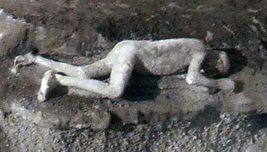 I.6.2 Pompeii. 1914. Plaster-cast of third victim, number 23, a young man/boy, photographed in the garden at time of excavation.
According to Spinazzola, he advanced his companions of misfortune a few steps (no more than 90 cm).
He was a young boy in about fifteen years, with agile and delicate limbs, with elegant and fine ends.
Death had caught him, while, first of all, he hurried south-west to get to the nearest city gate, that of Stabia, both to reach the sea and to flee further to Stabiae or Surrentum.
The heavy rain of ashes, meanwhile, which had taken his breath away, brought him down, and covered him; and he fell as he was on his way, with his right foot forward.
His knees were bent, and as he fell, they crossed each other, while the hands, automatically brought in front of the face in falling face downwards, seem to still grasp in the hot bed of ash.
The body does not show shock, and only the stomach appears a little swollen.
The hands, which are contracted, have short fingers: the joints are very thin.
The feet are small, which, for the first time, have preserved the image of an ancient shoe, as it was in the costume of the 1st century of the Empire.
See Notizie degli Scavi di Antichità, 1914, p. 367-8, fig. 2.
According to Osanna, Capurso, e Masseroli, this victim was a male aged over 20.
See Osanna, N., Capurso, A., e Masseroli, S. M., 2021. I Calchi di Pompei da Giuseppe Fiorelli ad oggi: Studi e Ricerche del PAP 46, p. 371-3.