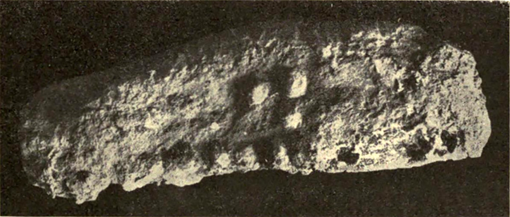 I.6.2 Pompeii. 1914. Plaster-cast of sole of an ancient shoe on third victim, number 23, a young man.
According to Spinazzola this was in the costume of the 1st century of the Empire.
See Notizie degli Scavi di Antichità, 1914, p. 367-8, fig. 3.