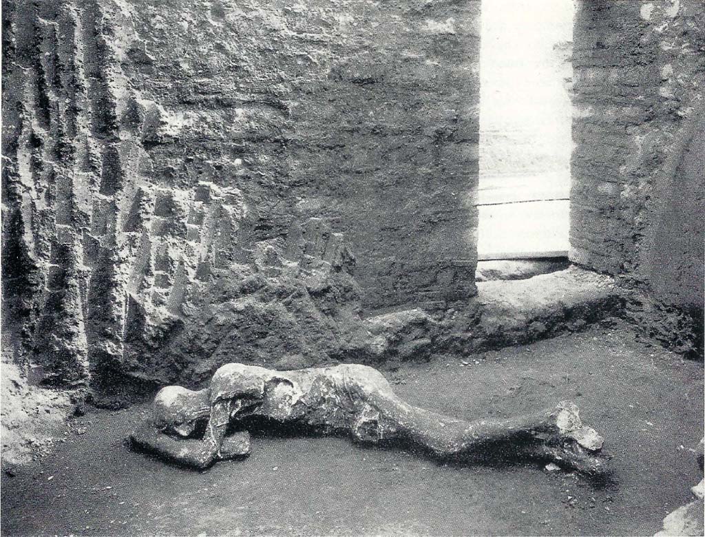 Villa of Mysteries, Pompeii. 1929-30. Victim 25. Room 35. The Ostiarius?
He was found lying down on the layer of ashes deposited on the floor of a dark and low room (n. 35). Under the skullcap, the strongly hooked nose, the line of the neck and the thinness of the cheeks show the typical Italic worker from Campania.
Villa dei Misteri, Pompei. 1929-30. Vittima 25. Ambiente 35. L'ostiario?
Lo si rinvenne coricato bocconi sullo strato di cenere depositato sul pavimento d'un buio e basso stanzino (n. 35). Sotto la calotta cranica, si delinea, nel naso fortemente adunco, nella linea del collo, nella magrezza delle guance, il tipo italico del lavoratore campano.
See/Vedi Maiuri A., 1967. La Villa dei Misteri. Istituto poligrafico dello stato/libreria dello stato, p.10.