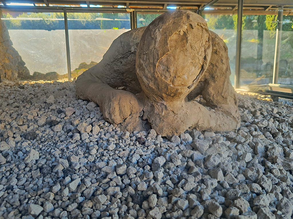 North-west side of Via delle Tombe. October 2024. Victim 30. Detail of head and shoulders from plaster cast. Photo courtesy of Giuseppe Ciaramella.