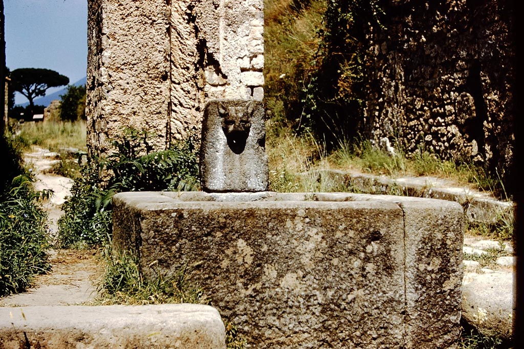 Fountain with the face of a panther, and water column at its rear, between VI.16.3 and VI.16.4 on Via del Vesuvio. 1959. 
Photo by Stanley A. Jashemski.
Source: The Wilhelmina and Stanley A. Jashemski archive in the University of Maryland Library, Special Collections (See collection page) and made available under the Creative Commons Attribution-Non Commercial License v.4. See Licence and use details.
J59f0425
