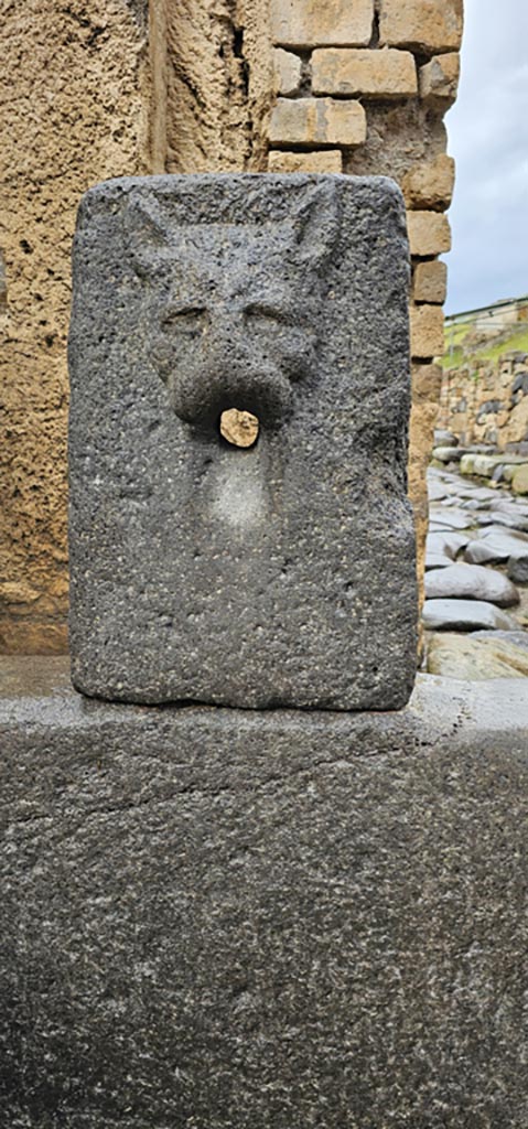Fountain relief with face of panther, between VI.16.3 and VI.16.4. 
December 2023. Looking north. Photo courtesy of Miriam Colomer.
