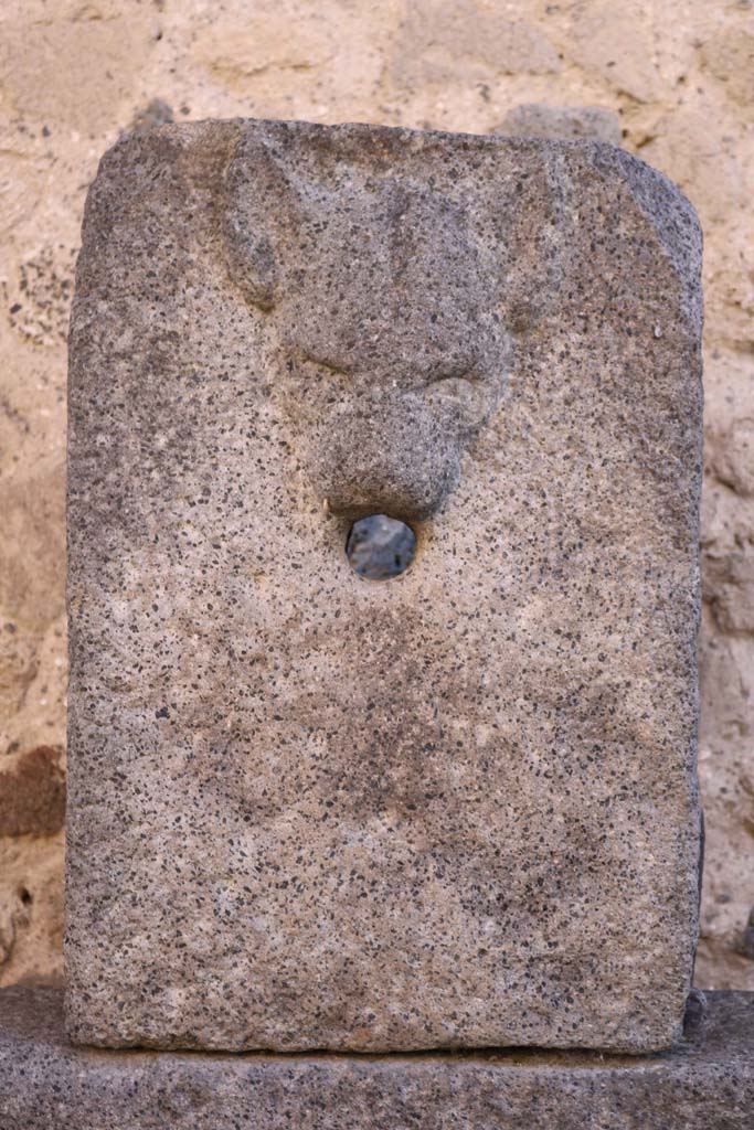 Relief of dog, on fountain next to VII.7.26 outside north wall of VII.8 Forum. December 2018. 
Photo courtesy of Aude Durand.
