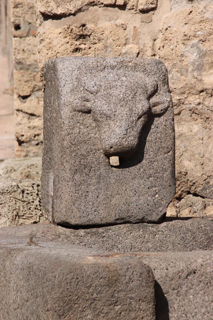 Pompeii. Fountain on Vicolo di Tesmo outside IX.7.17. October 2022.
Relief of bull’s head. Photo courtesy of Klaus Heese.
