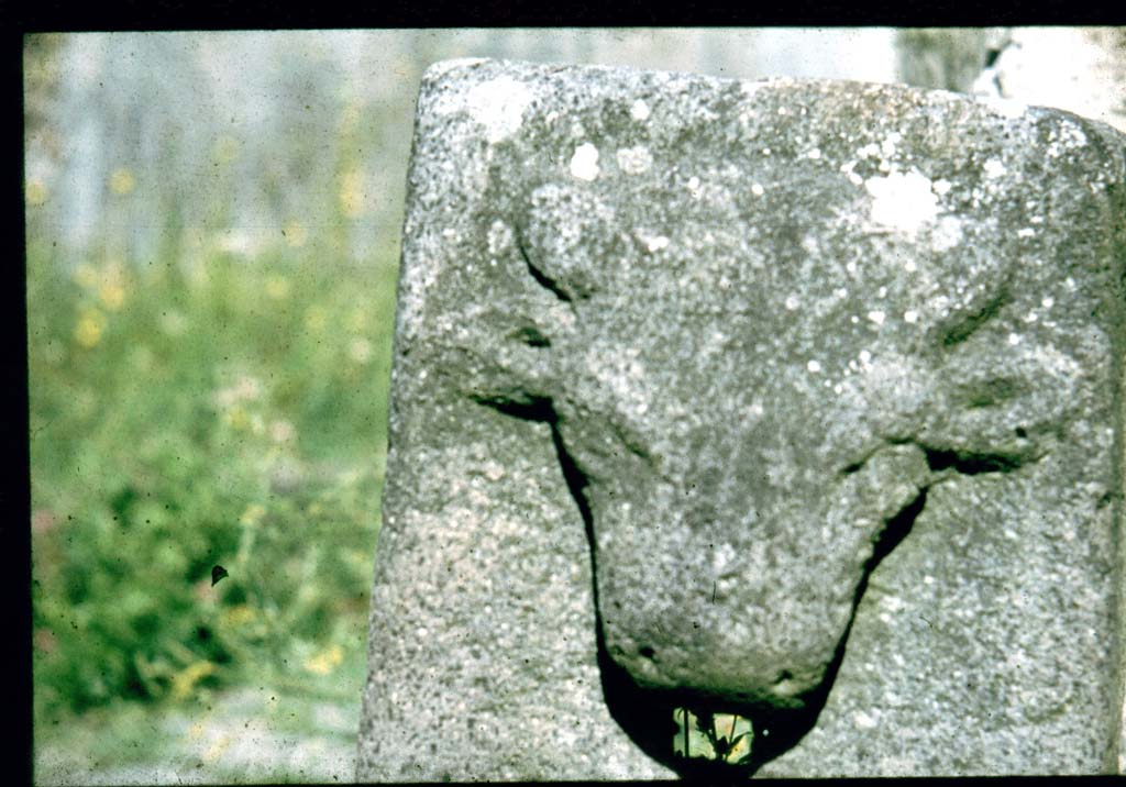 Pompeii. Fountain on Vico di Tesmo outside IX.7.17
Photographed 1970-79 by Günther Einhorn, picture courtesy of his son Ralf Einhorn.