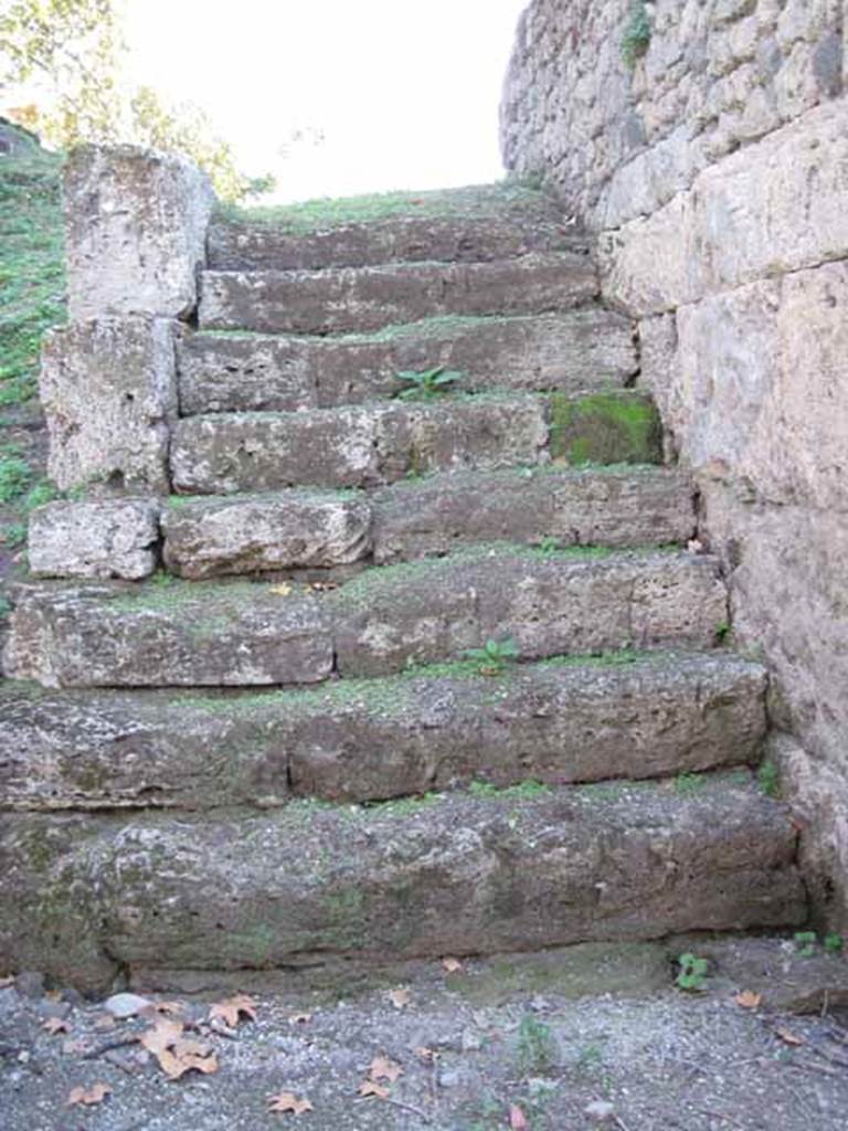 East side of Stabian Gate. September 2010. Steps leading up to top of city walls on east side of gate.
Looking south onto city wall. Photo courtesy of Drew Baker.