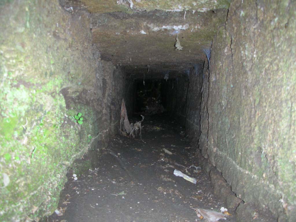 Porta Stabia, Pompeii. May 2010. Interior of drain, looking north. Photo courtesy of Ivo van der Graaff.