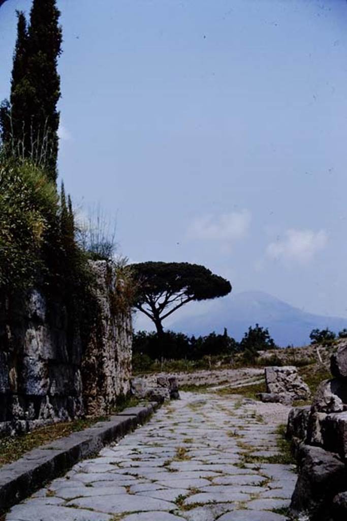 Vesuvian Gate, Pompeii. 1964.  Looking north. Photo by Stanley A. Jashemski.
Source: The Wilhelmina and Stanley A. Jashemski archive in the University of Maryland Library, Special Collections (See collection page) and made available under the Creative Commons Attribution-Non Commercial License v.4. See Licence and use details.
J64f1618
