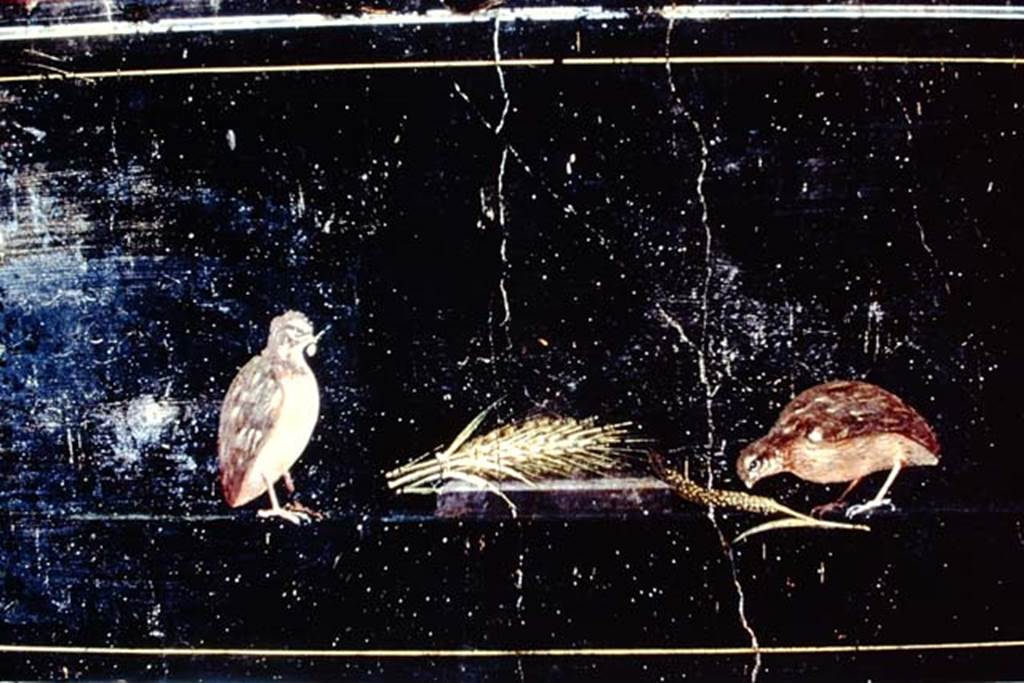 PA.11. Painting of Birds, in Naples Museum. 1968. Photo by Stanley A. Jashemski. Where from ?
Source: The Wilhelmina and Stanley A. Jashemski archive in the University of Maryland Library, Special Collections (See collection page) and made available under the Creative Commons Attribution-Non Commercial License v.4. See Licence and use details.
J68f1624
Now in Naples Archaeological Museum. Inventory number 8750.