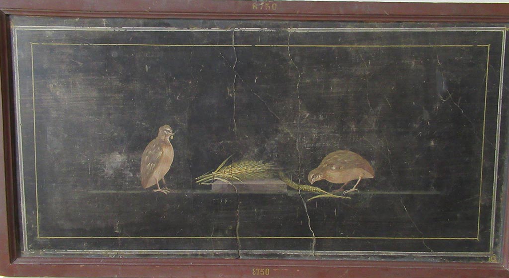 PA.11. Painting of Birds, in Naples Museum.
Now in Naples Archaeological Museum. Inventory number 8750.
Our thanks to Rachel Lowder for helping with this.
