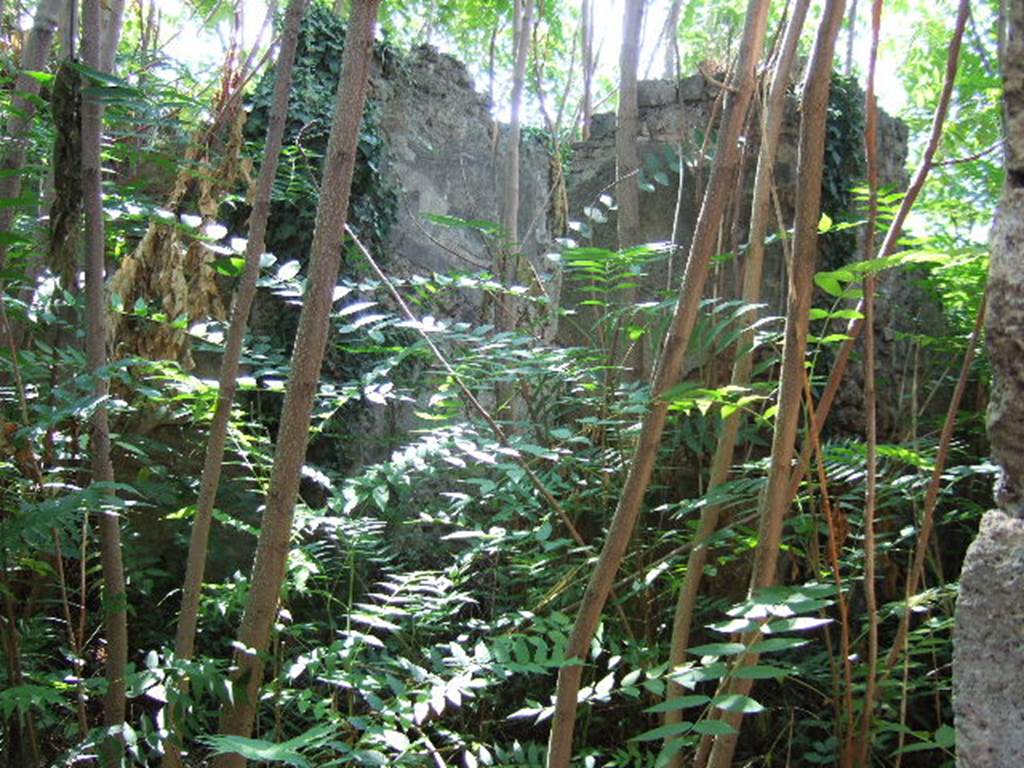 I.2.15  Pompeii.  September 2005. Entrance, looking south across Atrium.