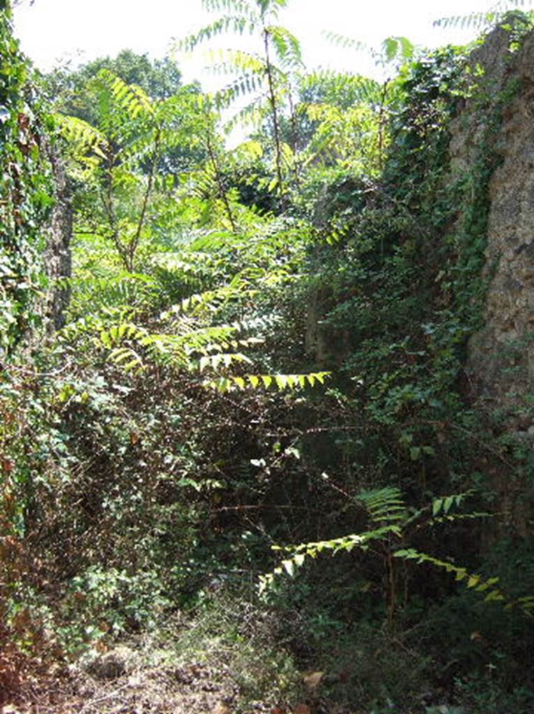 I.2.16 Pompeii.  September 2005.  Looking south along fauces.